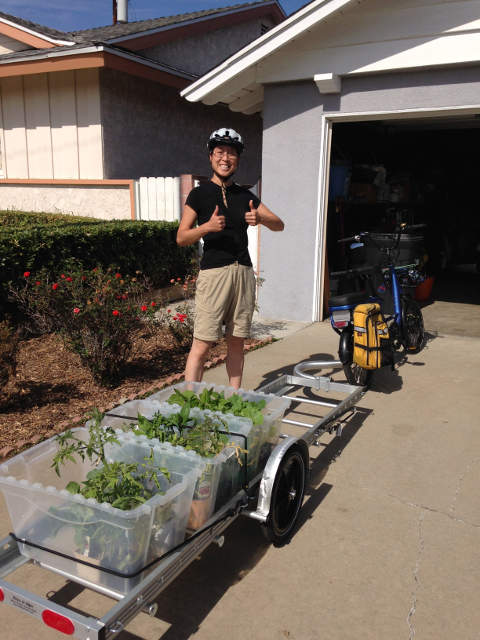 garden plants on a 96A bike trailer