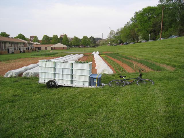 Carrying transplants to the field on a 96A trailer